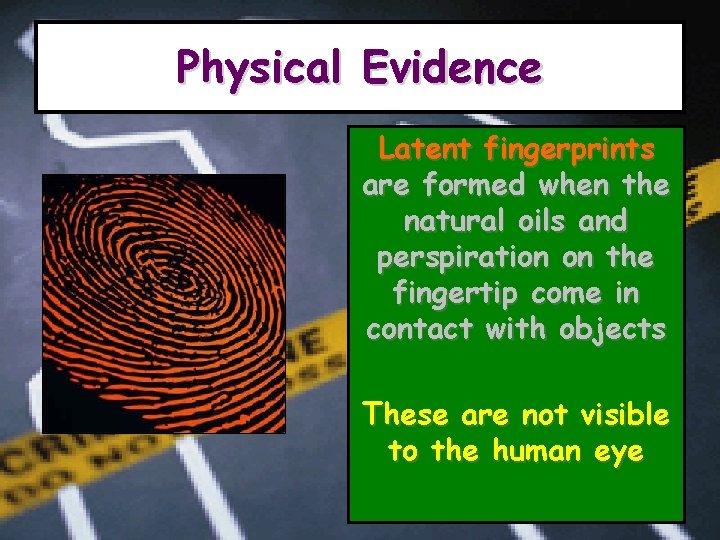 Physical Evidence Latent fingerprints are formed when the natural oils and perspiration on the