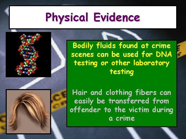 Physical Evidence Bodily fluids found at crime scenes can be used for DNA testing