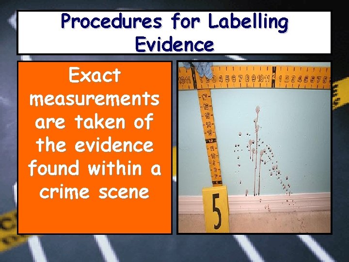Procedures for Labelling Evidence Exact measurements are taken of the evidence found within a