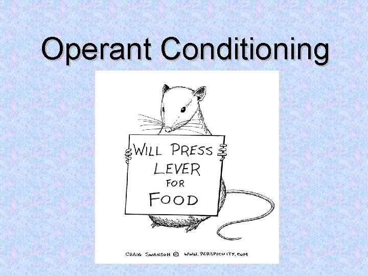 Operant Conditioning 