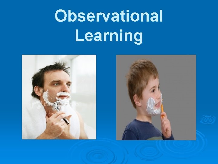 Observational Learning 