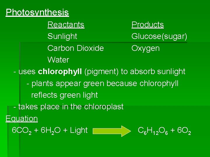 Photosynthesis Reactants Products Sunlight Glucose(sugar) Carbon Dioxide Oxygen Water - uses chlorophyll (pigment) to