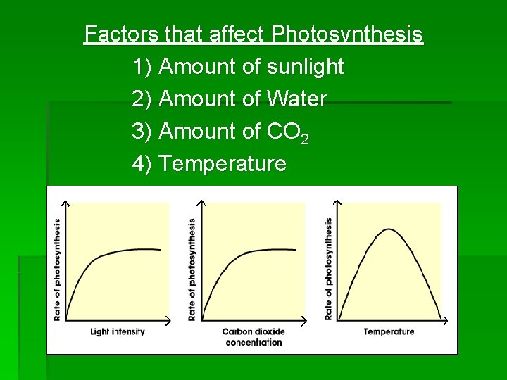 Factors that affect Photosynthesis 1) Amount of sunlight 2) Amount of Water 3) Amount