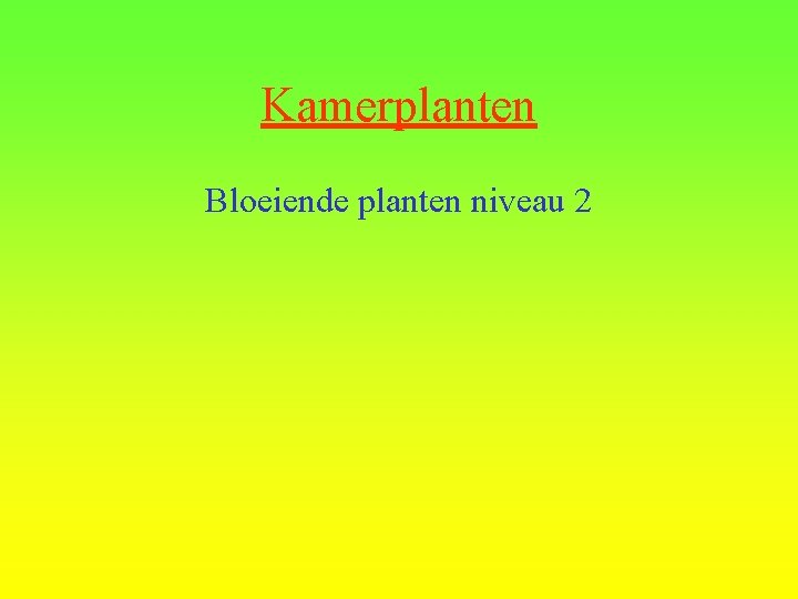 Kamerplanten Bloeiende planten niveau 2 