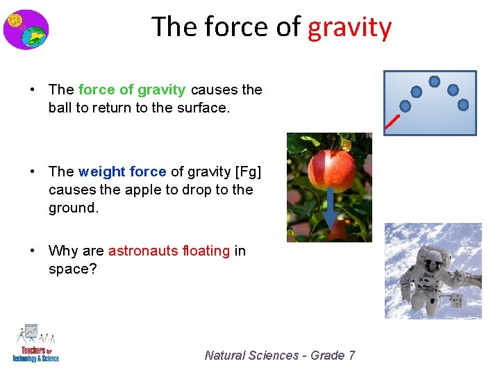 The force of gravity • The force of gravity causes the ball to return
