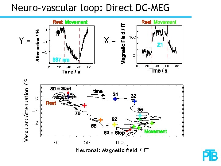 Neuro-vascular loop: Direct DC-MEG X= Vascular: Attenuation / % Y= Neuronal: Magnetic field /