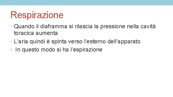 Respirazione • Quando il diaframma si rilascia la pressione nella cavità toracica aumenta •