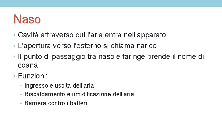 Naso • Cavità attraverso cui l’aria entra nell’apparato • L’apertura verso l’esterno si chiama