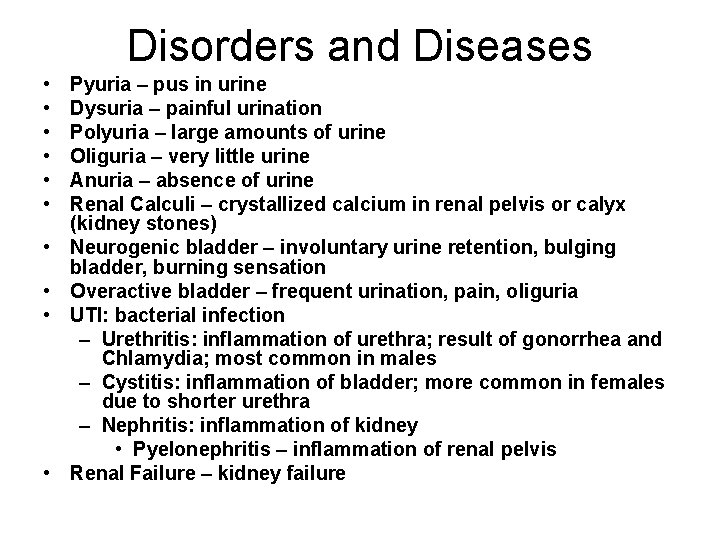 Disorders and Diseases • • • Pyuria – pus in urine Dysuria – painful