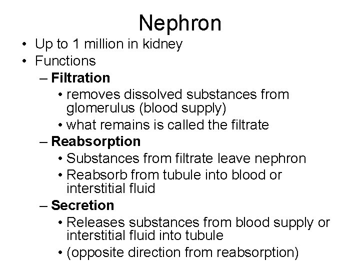 Nephron • Up to 1 million in kidney • Functions – Filtration • removes