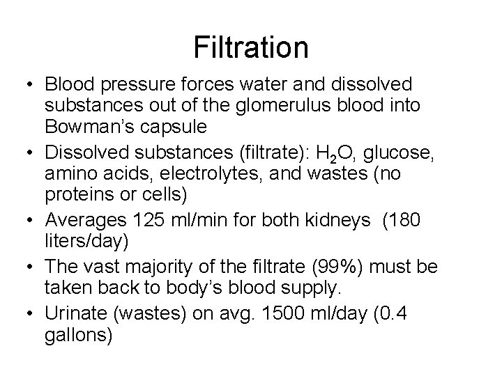 Filtration • Blood pressure forces water and dissolved substances out of the glomerulus blood