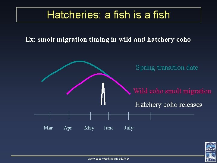 Hatcheries: a fish is a fish Ex: smolt migration timing in wild and hatchery