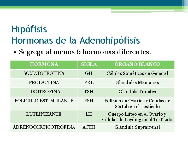 Hipófisis Hormonas de la Adenohipófisis • Segrega al menos 6 hormonas diferentes. HORMONA SIGLA