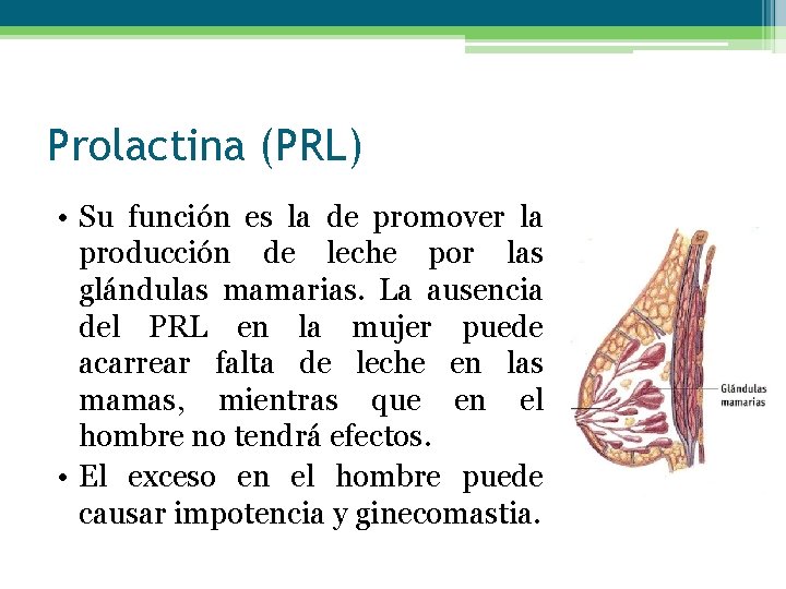 Prolactina (PRL) • Su función es la de promover la producción de leche por