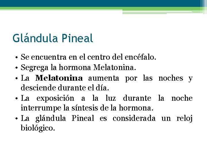 Glándula Pineal • Se encuentra en el centro del encéfalo. • Segrega la hormona
