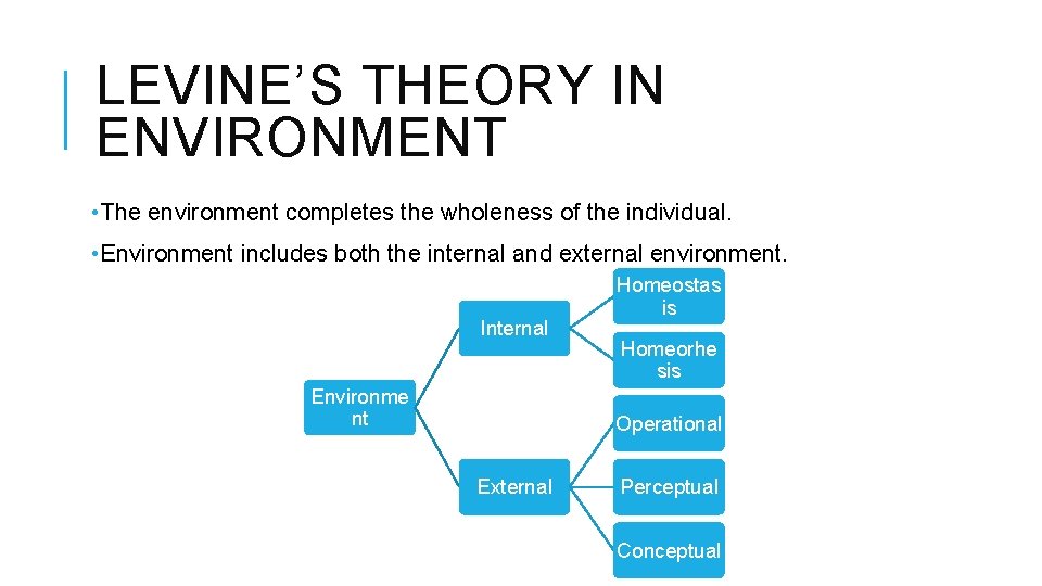 LEVINE’S THEORY IN ENVIRONMENT • The environment completes the wholeness of the individual. •