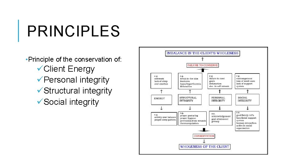 PRINCIPLES • Principle of the conservation of: üClient Energy üPersonal integrity üStructural integrity üSocial