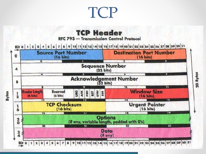 TCP 