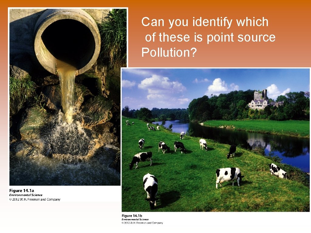 Can you identify which of these is point source Pollution? 