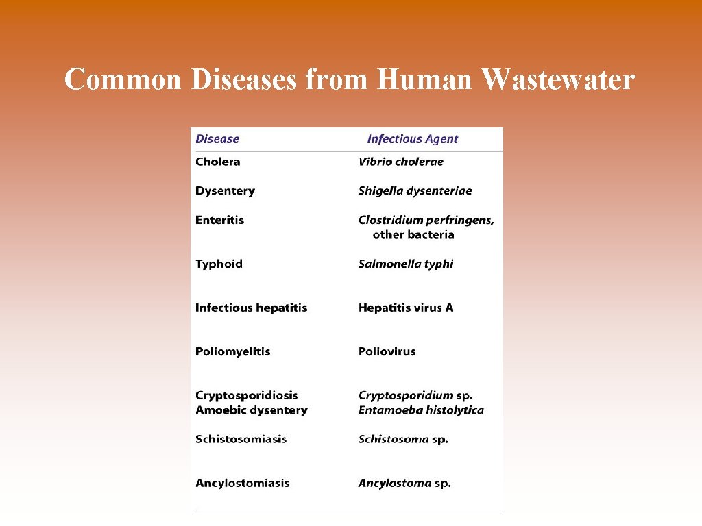 Common Diseases from Human Wastewater 