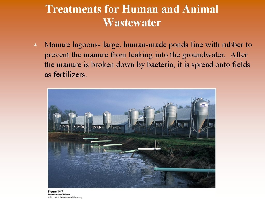 Treatments for Human and Animal Wastewater © Manure lagoons- large, human-made ponds line with