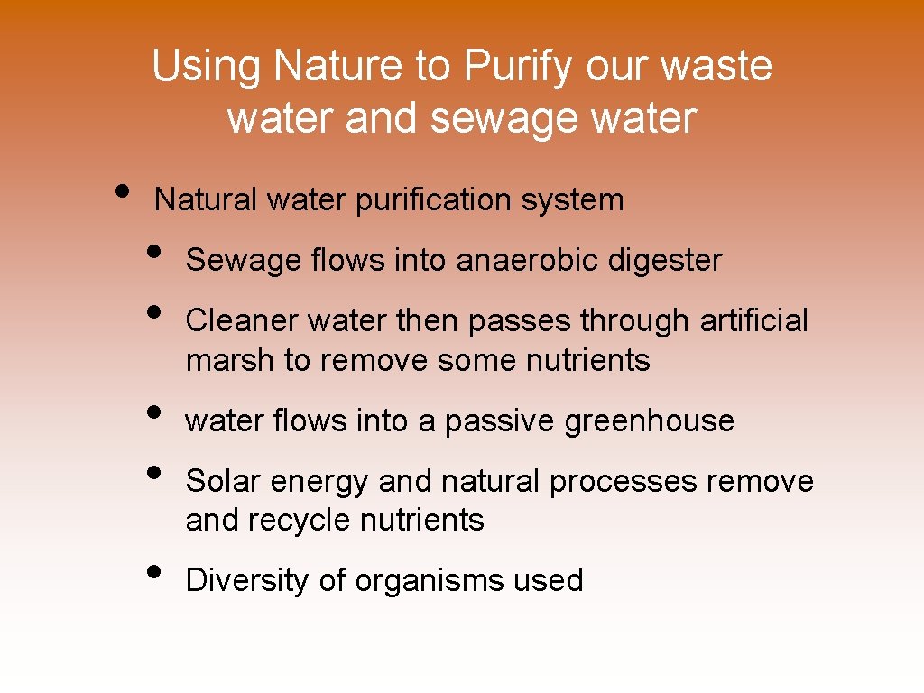 Using Nature to Purify our waste water and sewage water • Natural water purification