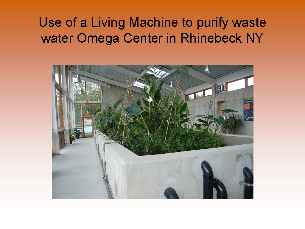 Use of a Living Machine to purify waste water Omega Center in Rhinebeck NY