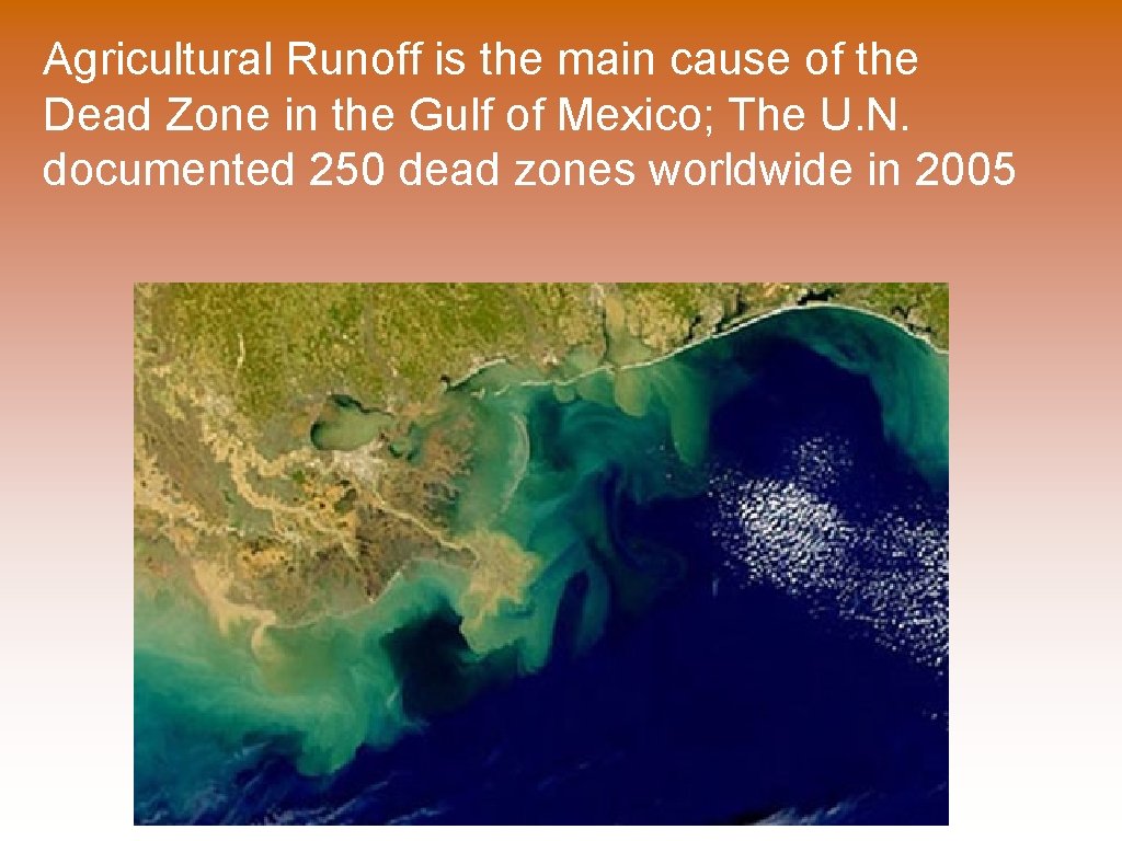 Agricultural Runoff is the main cause of the Dead Zone in the Gulf of