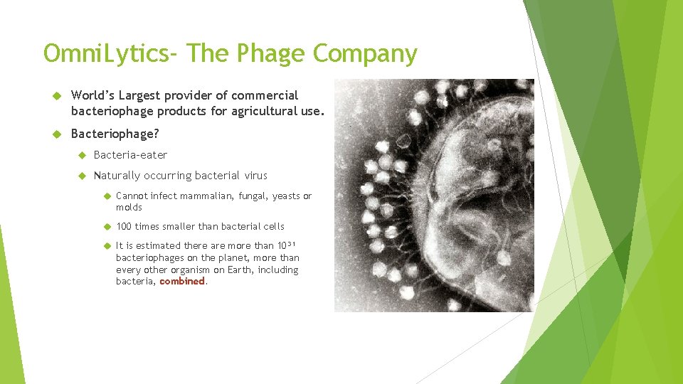 Omni. Lytics- The Phage Company World’s Largest provider of commercial bacteriophage products for agricultural