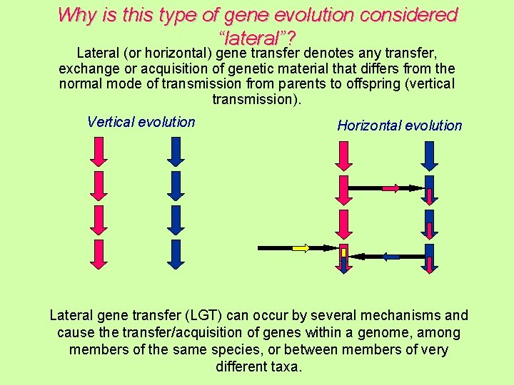 Why is this type of gene evolution considered “lateral”? Lateral (or horizontal) gene transfer