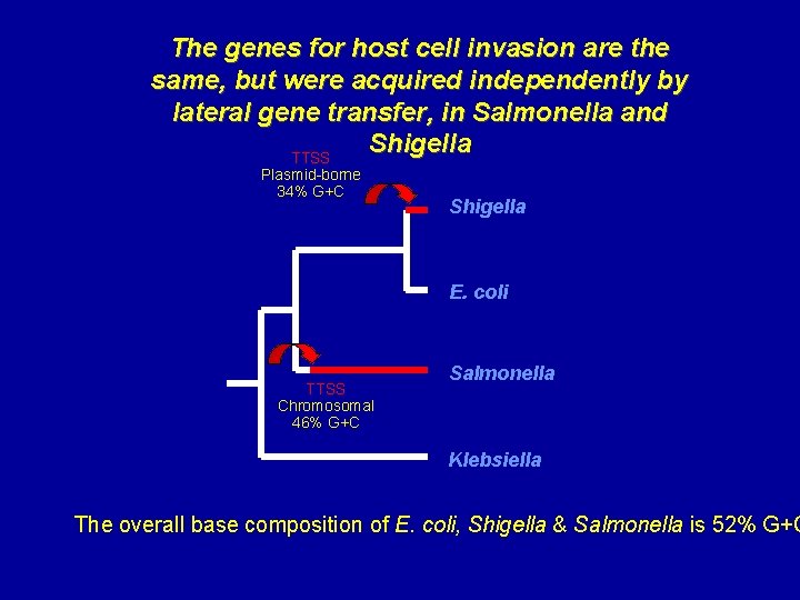 The genes for host cell invasion are the same, but were acquired independently by