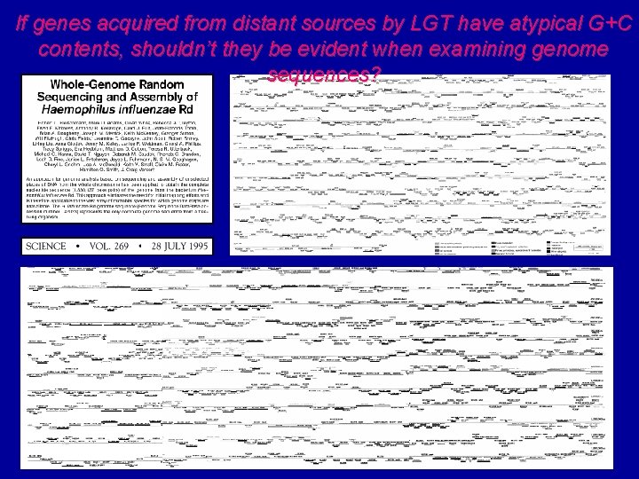 If genes acquired from distant sources by LGT have atypical G+C contents, shouldn’t they