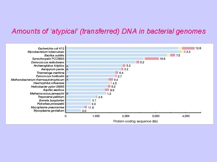Amounts of ‘atypical’ (transferred) DNA in bacterial genomes 