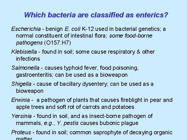 Which bacteria are classified as enterics? Escherichia - benign E. coli K-12 used in