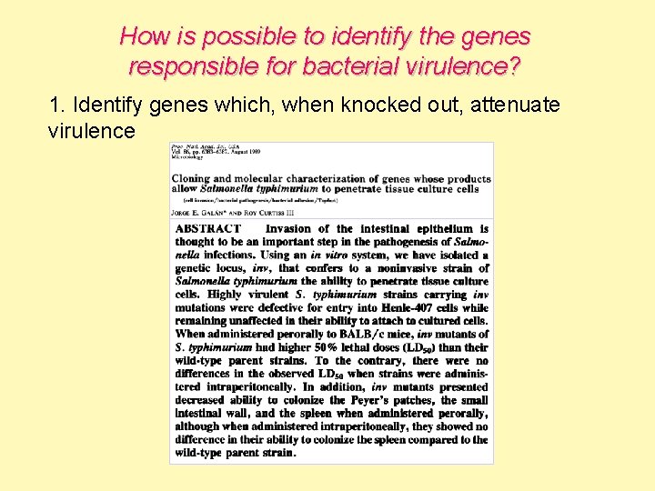 How is possible to identify the genes responsible for bacterial virulence? 1. Identify genes