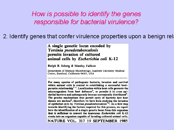 How is possible to identify the genes responsible for bacterial virulence? 2. Identify genes