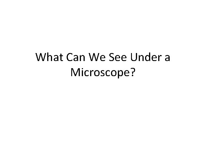 What Can We See Under a Microscope? 