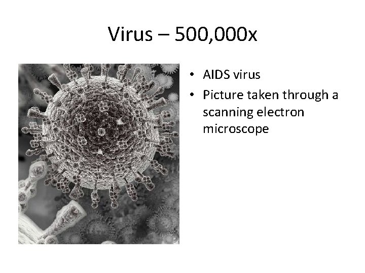 Virus – 500, 000 x • AIDS virus • Picture taken through a scanning