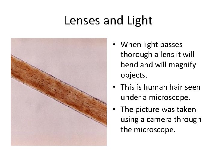 Lenses and Light • When light passes thorough a lens it will bend and