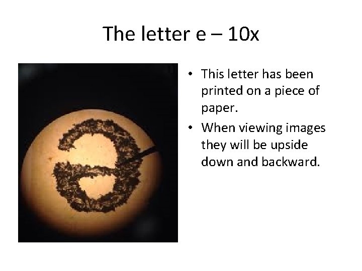 The letter e – 10 x • This letter has been printed on a