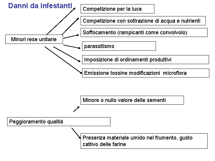 Danni da infestanti Competizione per la luce Competizione con sottrazione di acqua e nutrienti Danni da infestanti Competizione per la luce Competizione con sottrazione di acqua e nutrienti