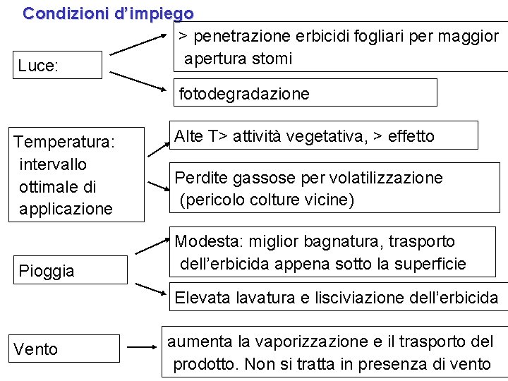 Condizioni d’impiego > penetrazione erbicidi fogliari per maggior apertura stomi Luce: fotodegradazione Temperatura: intervallo