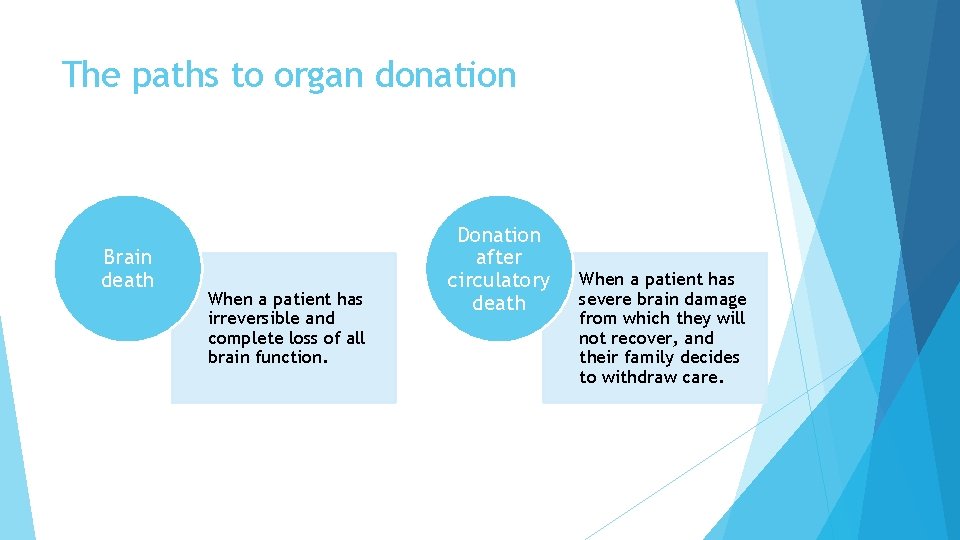 The paths to organ donation Brain death When a patient has irreversible and complete