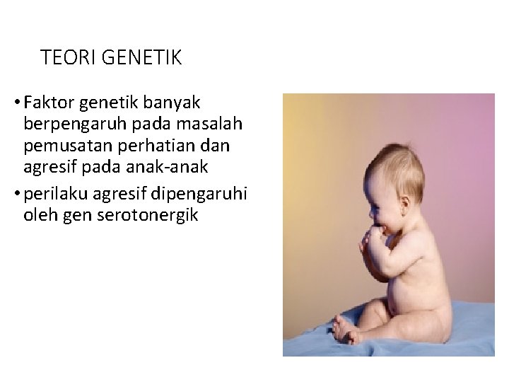 TEORI GENETIK • Faktor genetik banyak berpengaruh pada masalah pemusatan perhatian dan agresif pada