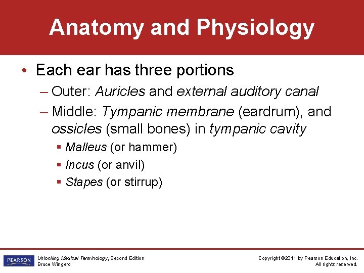 Anatomy and Physiology • Each ear has three portions – Outer: Auricles and external