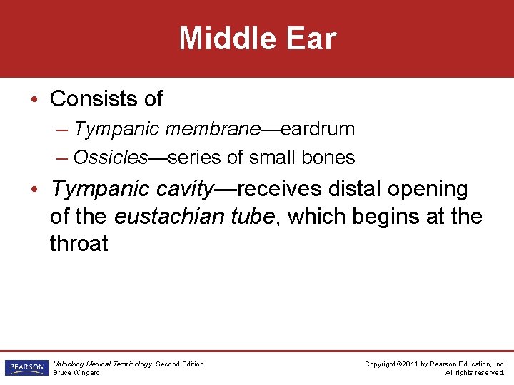 Middle Ear • Consists of – Tympanic membrane—eardrum – Ossicles—series of small bones •