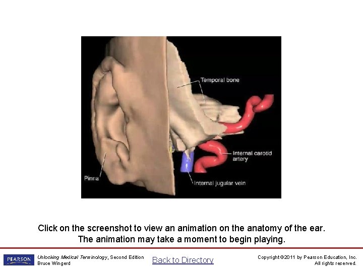 The Ear Animation Click on the screenshot to view an animation on the anatomy