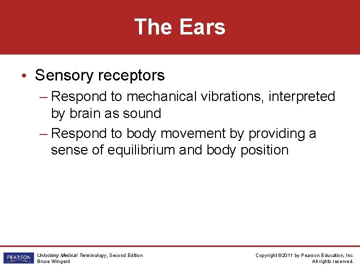 The Ears • Sensory receptors – Respond to mechanical vibrations, interpreted by brain as