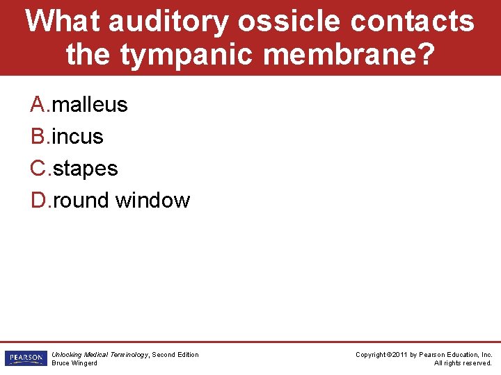 What auditory ossicle contacts the tympanic membrane? A. malleus B. incus C. stapes D.