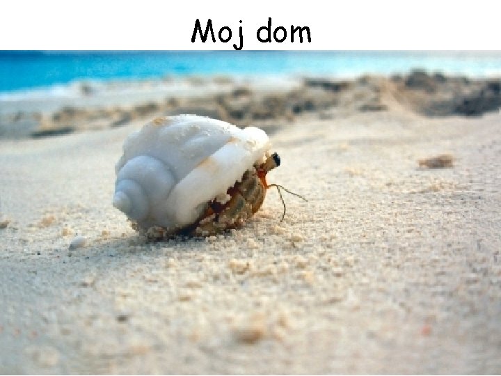 Moj dom 